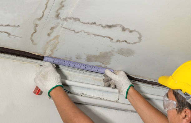 Reliable Water Damage contractor in Franklin, NC by Water Damage Irwin